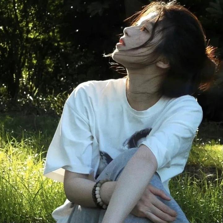 完美独裁